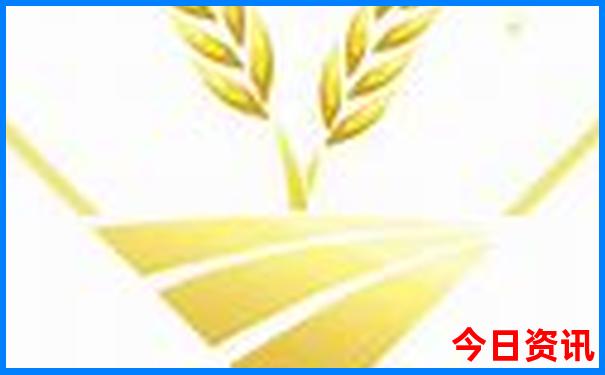 三码中一码?三肖